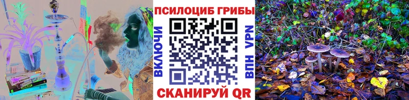наркошоп  Киреевск  Галлюциногенные грибы мухоморы 